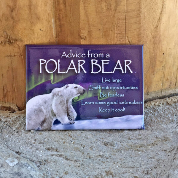 Advice from a polar bear magnet.