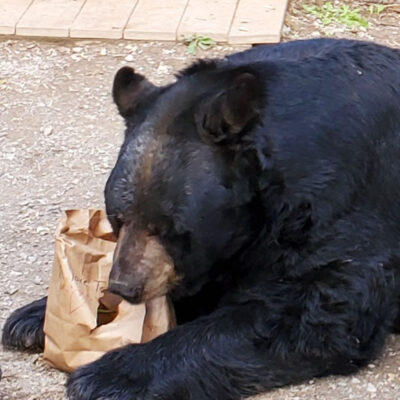 Ted eating snack bag