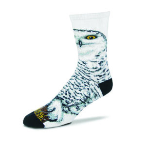 Snow owl on a sock.