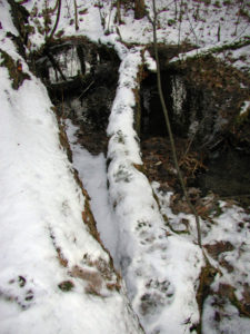 Black Bear Tracks in SnowBlack Bear Tracks in Snow
